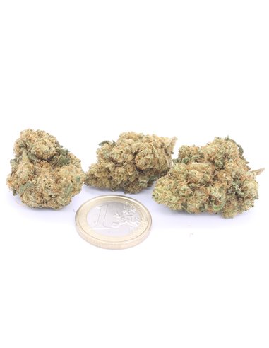 Northern Lights - Cannabis Light Italia - Shop Online Canapa e CBD G 5g