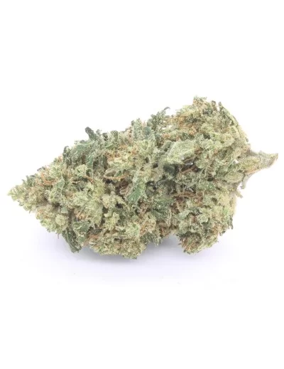 super silver haze infiorescenza