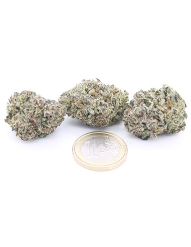 Zkittles CBG cannabis light CBD 29% - Erba Legale Online