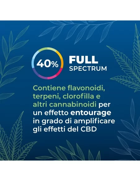 Olio CBD 40% secondaria